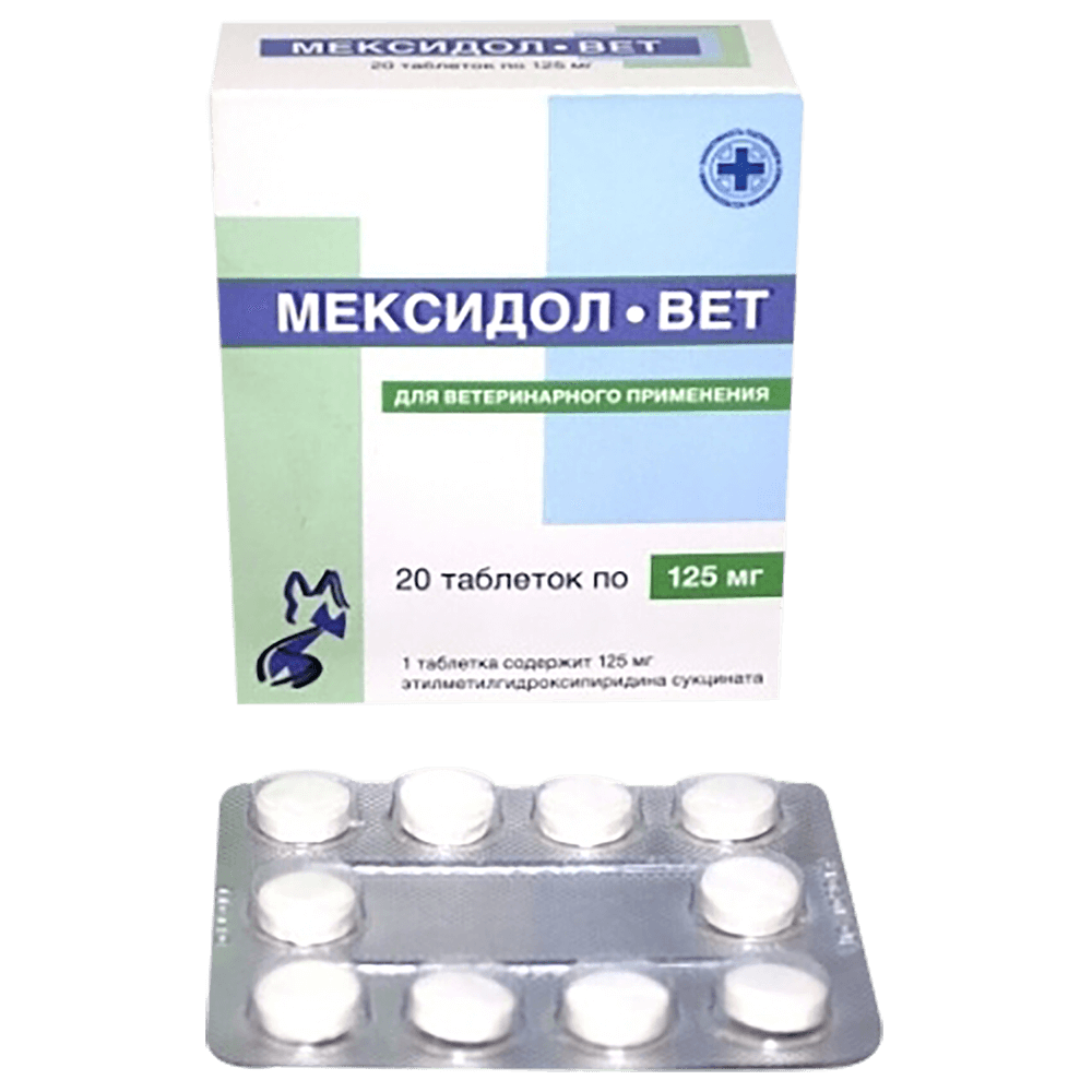 Мексидол таблетки 125 мг. Мексидол-вет табл. 125 мг №20. Мексидол вет 125 мг. Таб Мексидол 125 мг.