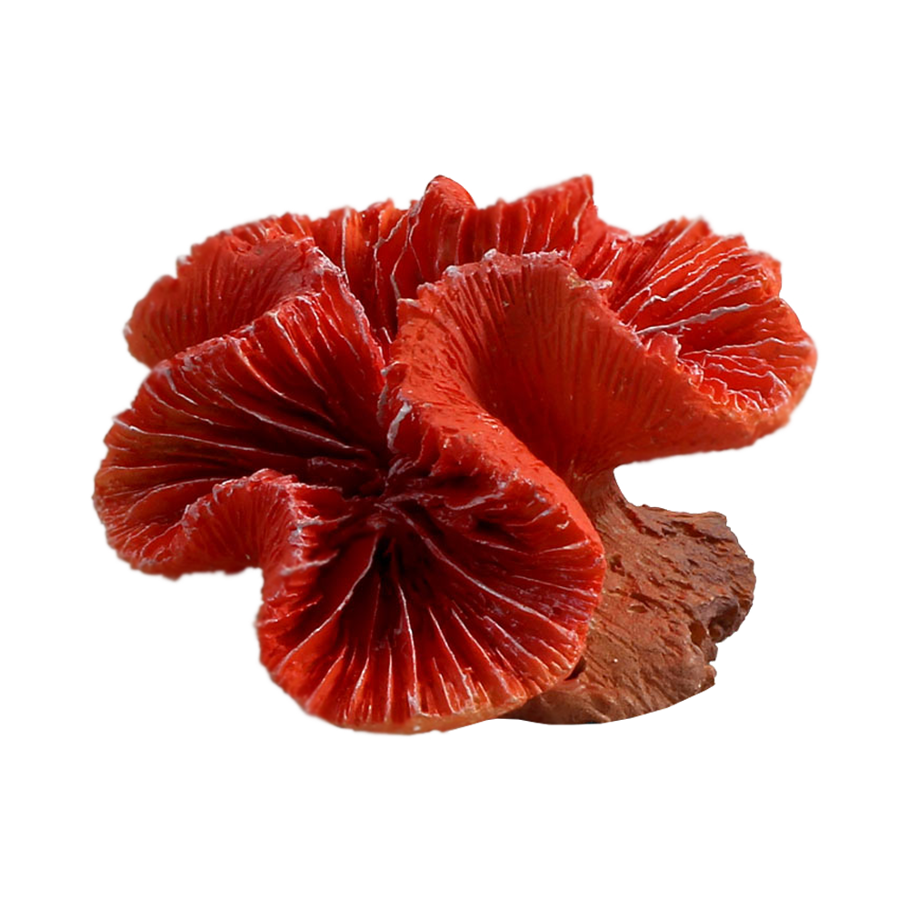 LAGUNA Коралл искусственный LD2901 Каталофиллия красная