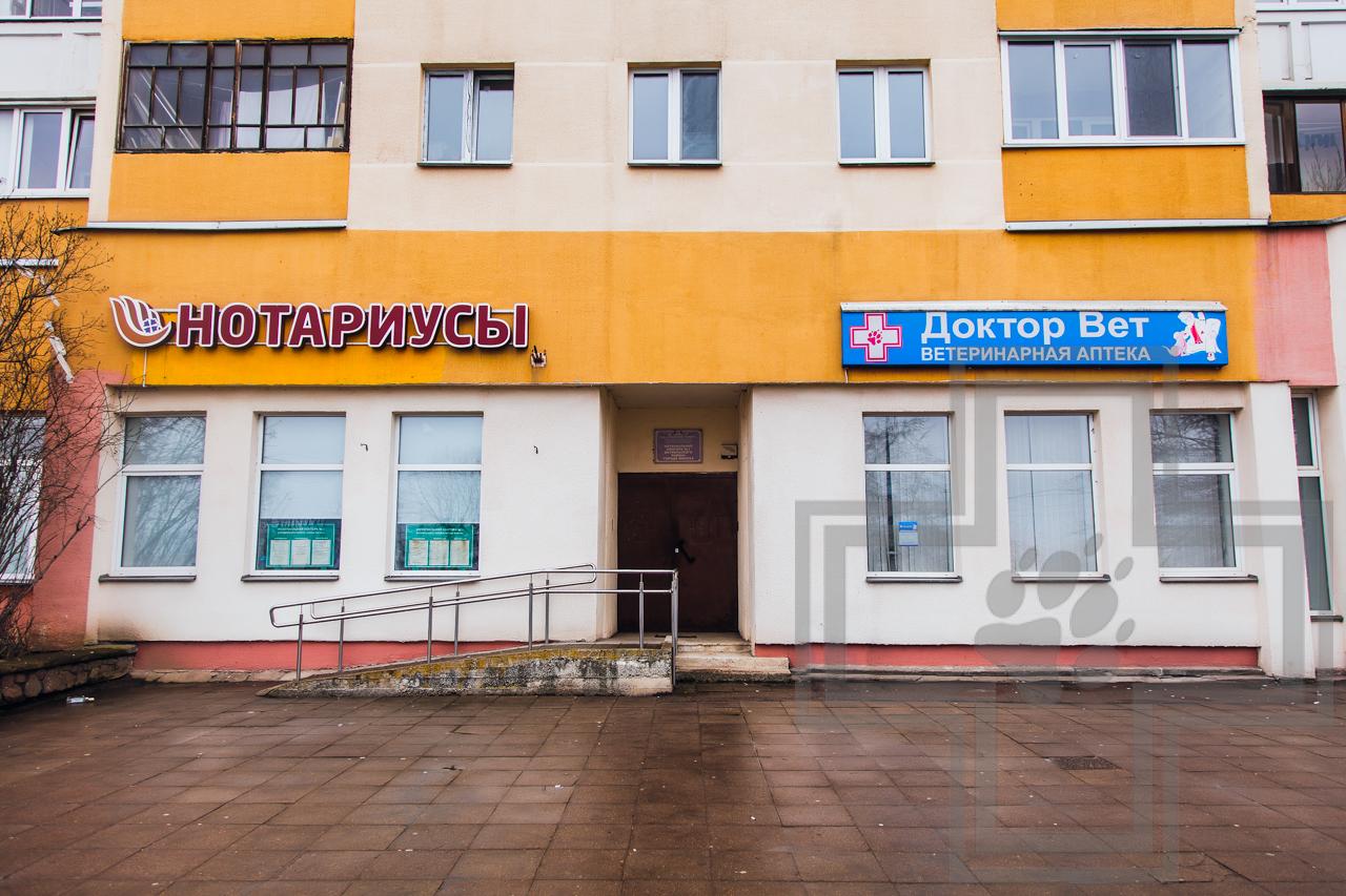 Веста вет тольятти ветклиника Веста вет тольятти ветклиника