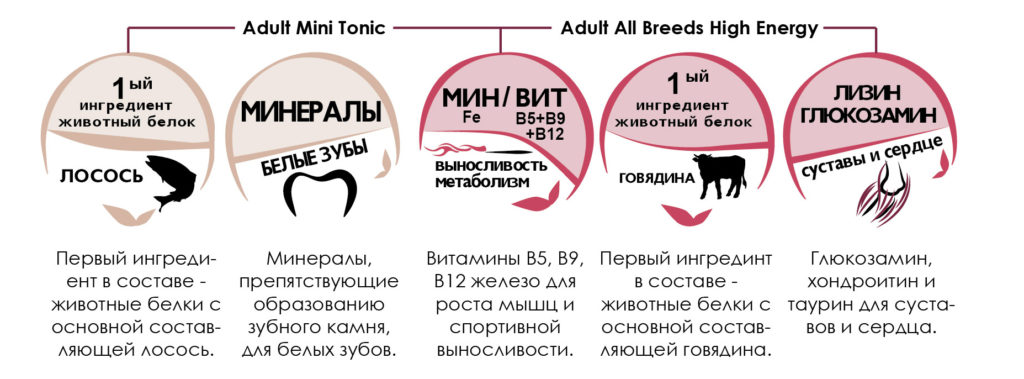 Доктор Вет - Корм для собак премиум класса по отличной цене!2