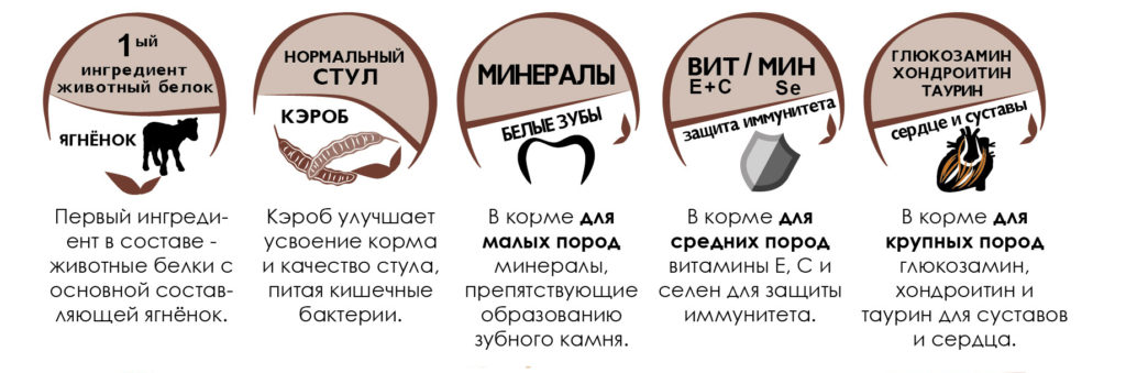 Доктор Вет - Корм для собак премиум класса по отличной цене!6