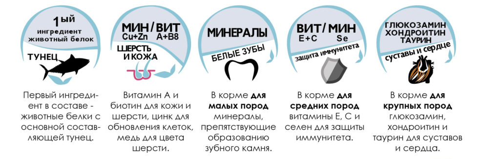 Доктор Вет - Корм для собак премиум класса по отличной цене!4