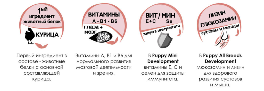 Доктор Вет - Корм для собак премиум класса по отличной цене!12