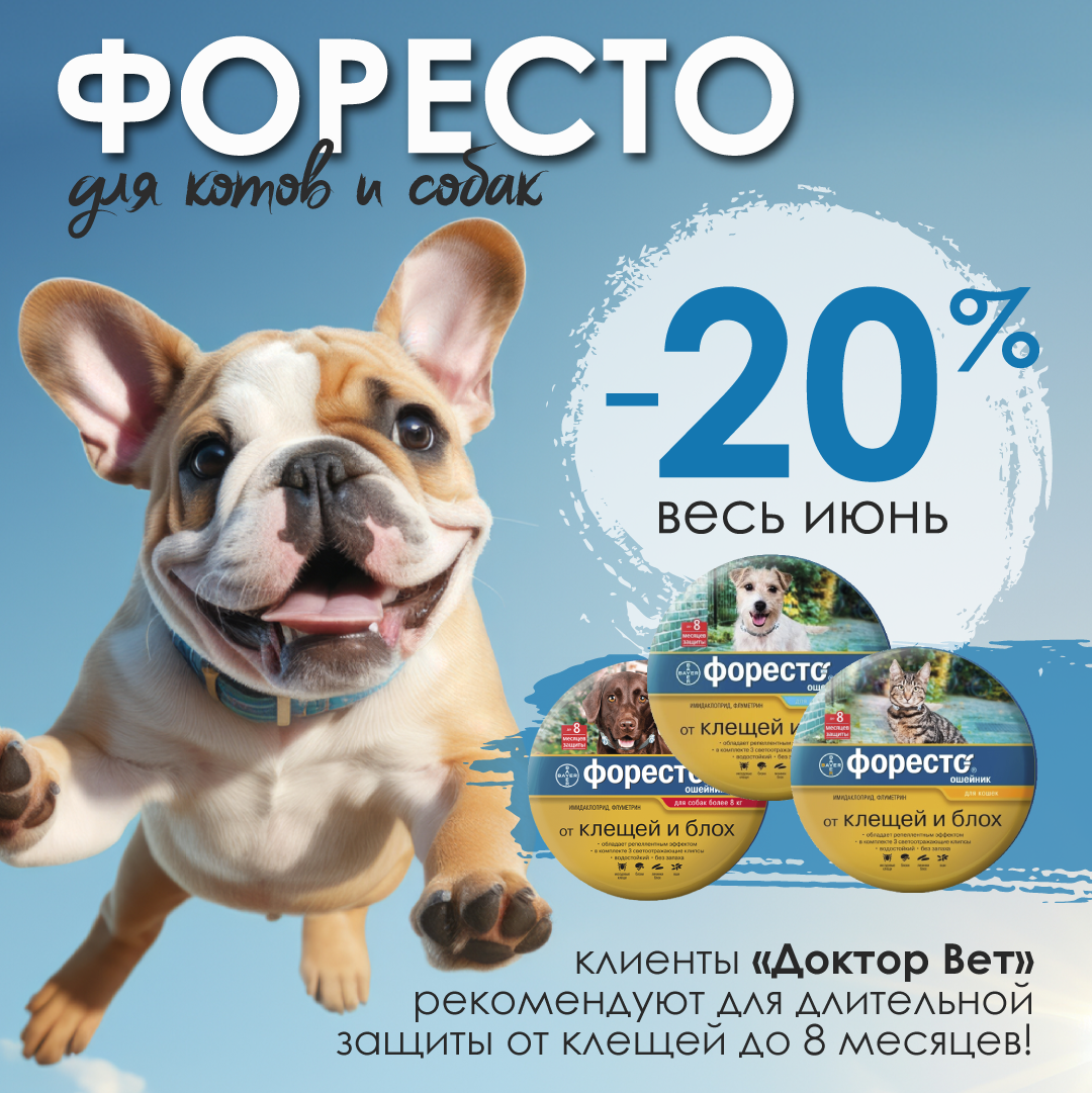 Скидка 20% на ошейники Форесто акции в Сети Доктор Вет