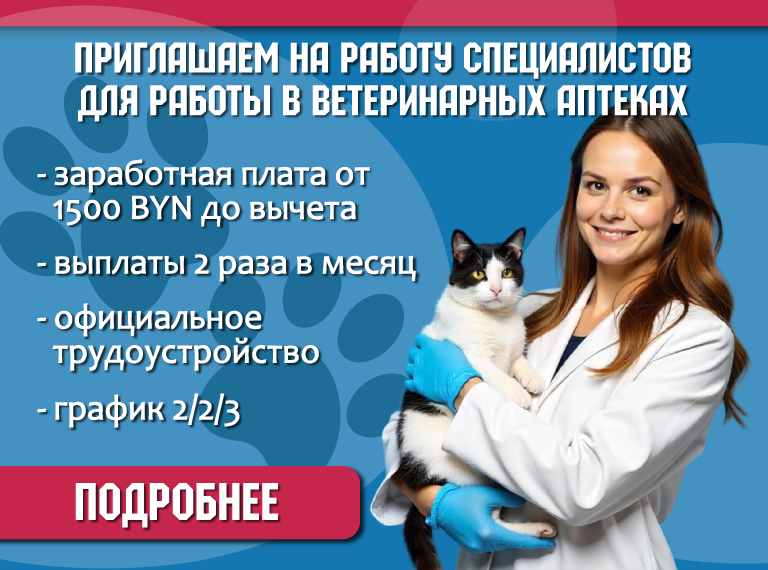 Главная