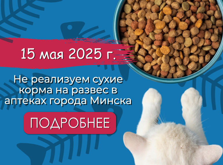 Главная