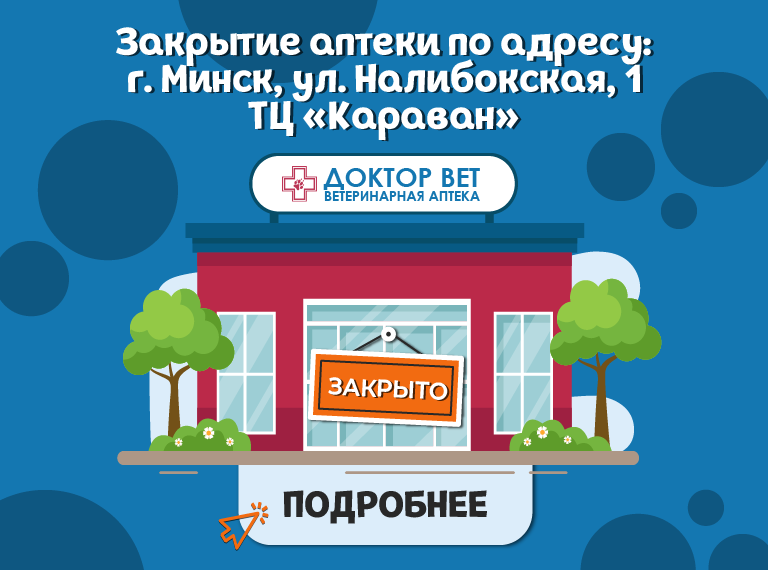 Главная