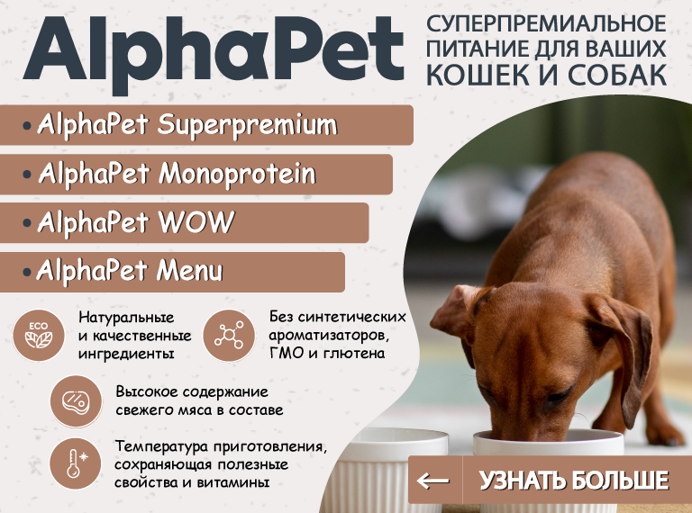 Главная