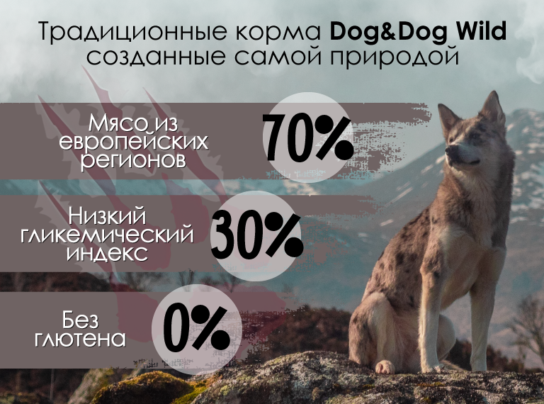 Главная