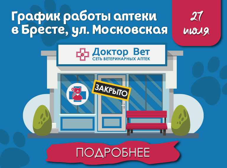 Главная
