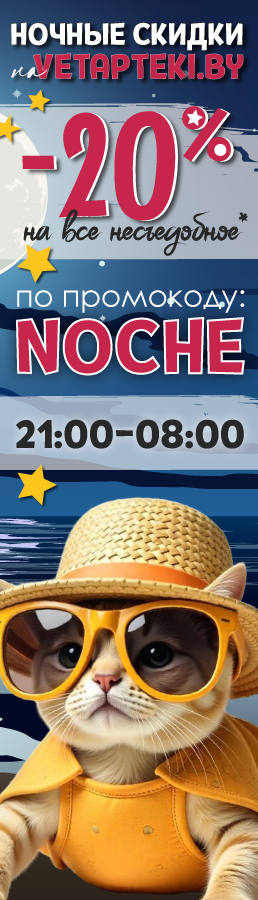 605205