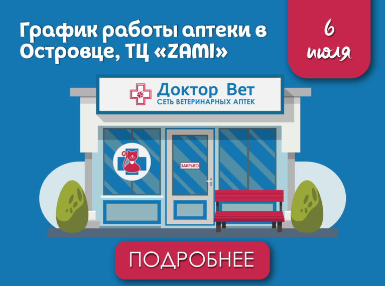 Главная