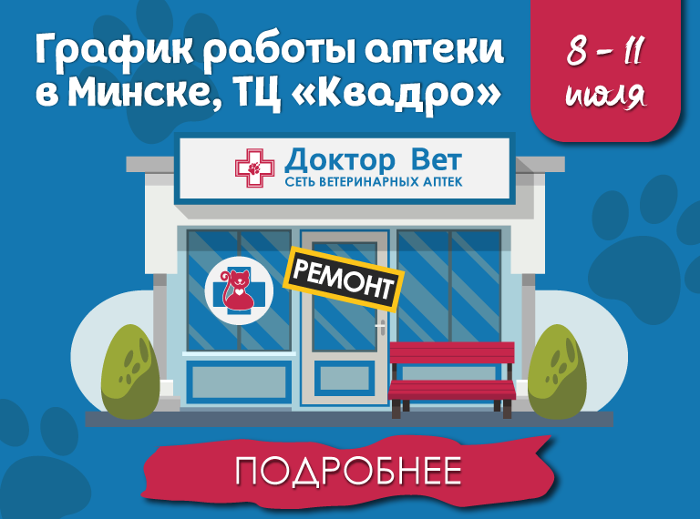 Главная