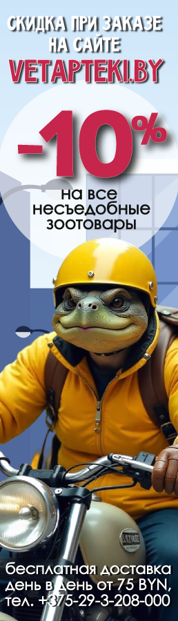 620591