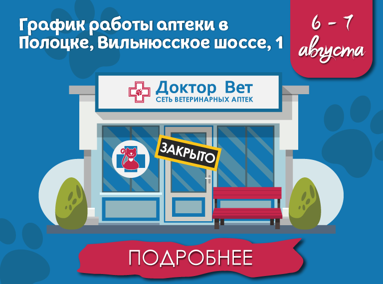Главная