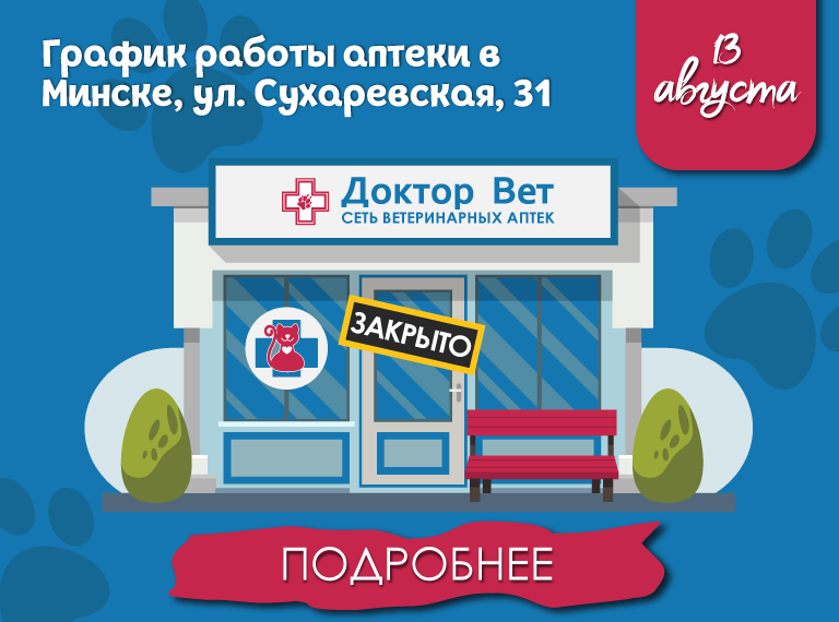 Главная