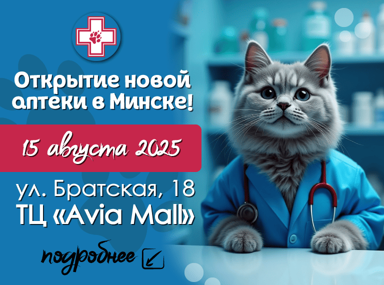 Главная