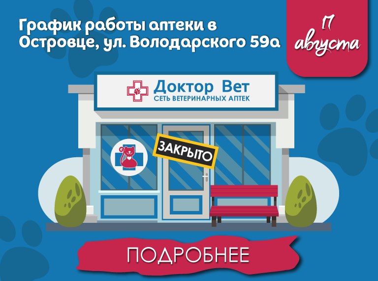Главная