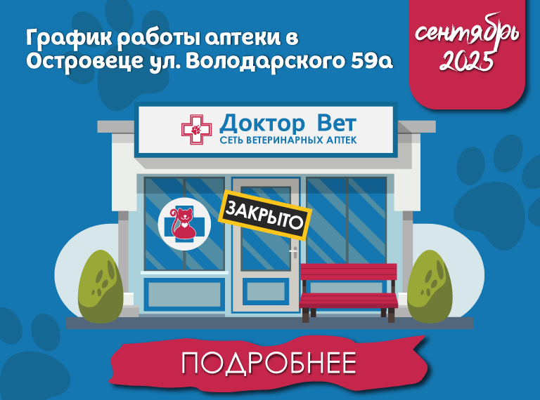 Главная