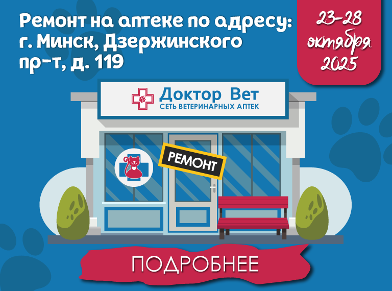 Главная