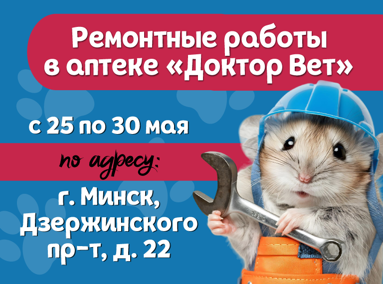 Главная