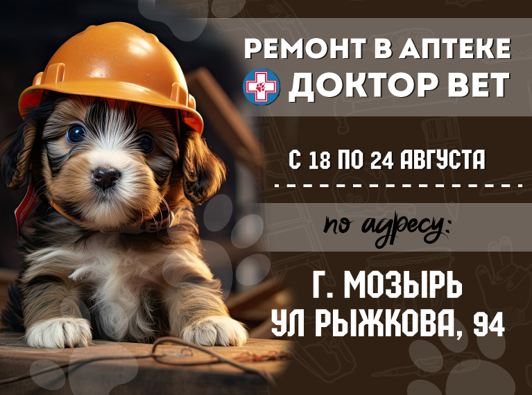 Главная