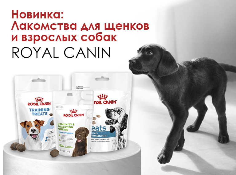 Главная