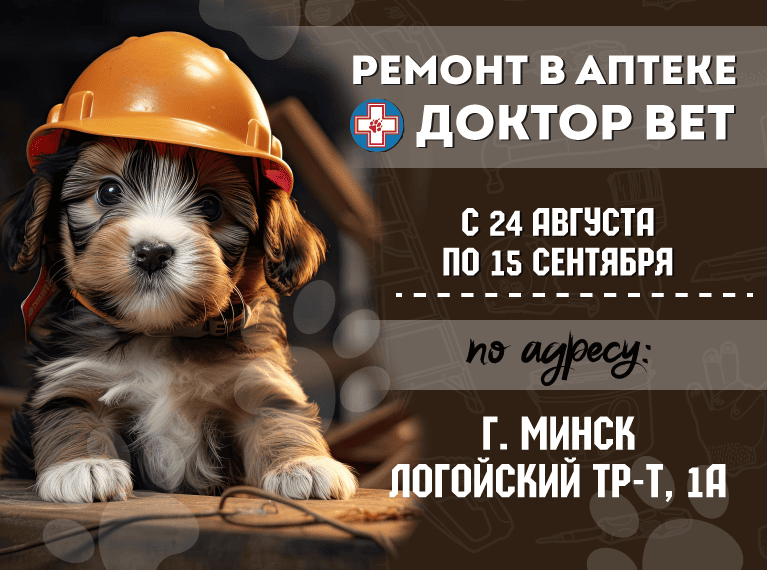 Главная