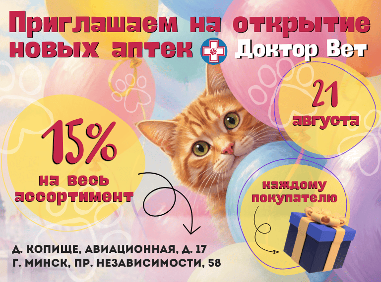 Главная