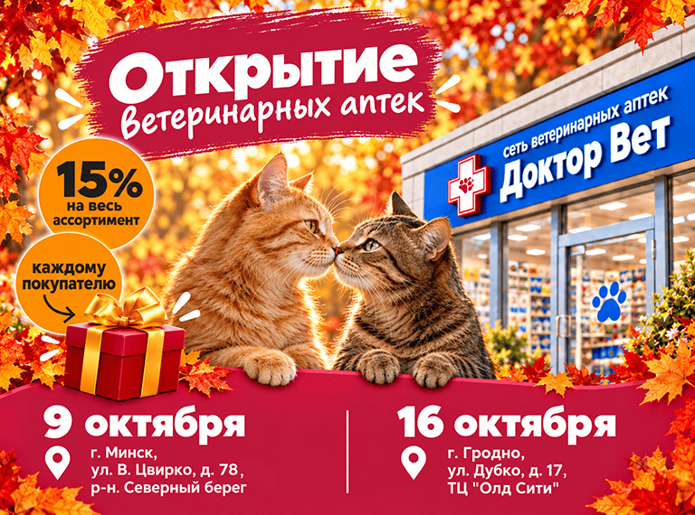 Главная
