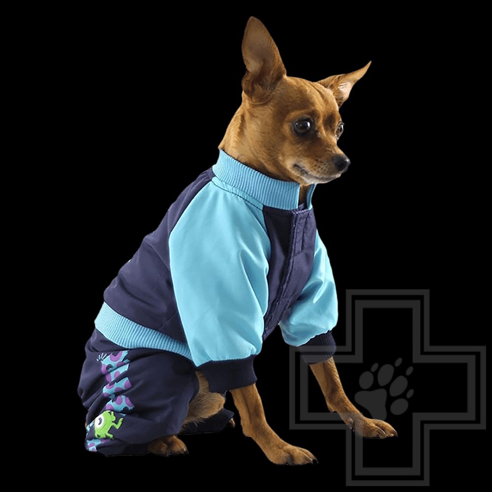 Triol Комбинезон демисезонный Monsters, синий