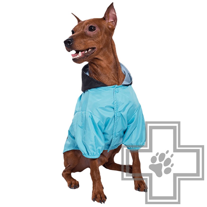 TRIOL Marvel Дождевик-попона Тор TRIOL Marvel Дождевик-попона Тор