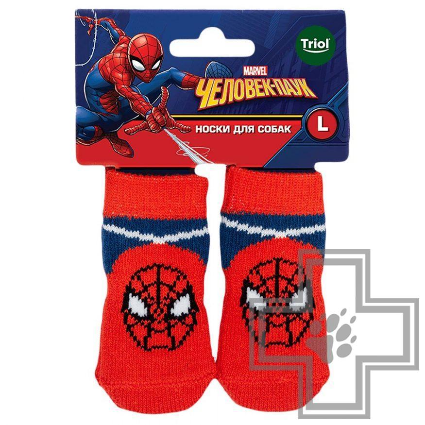 TRIOL Marvel Носки "Человек-паук"