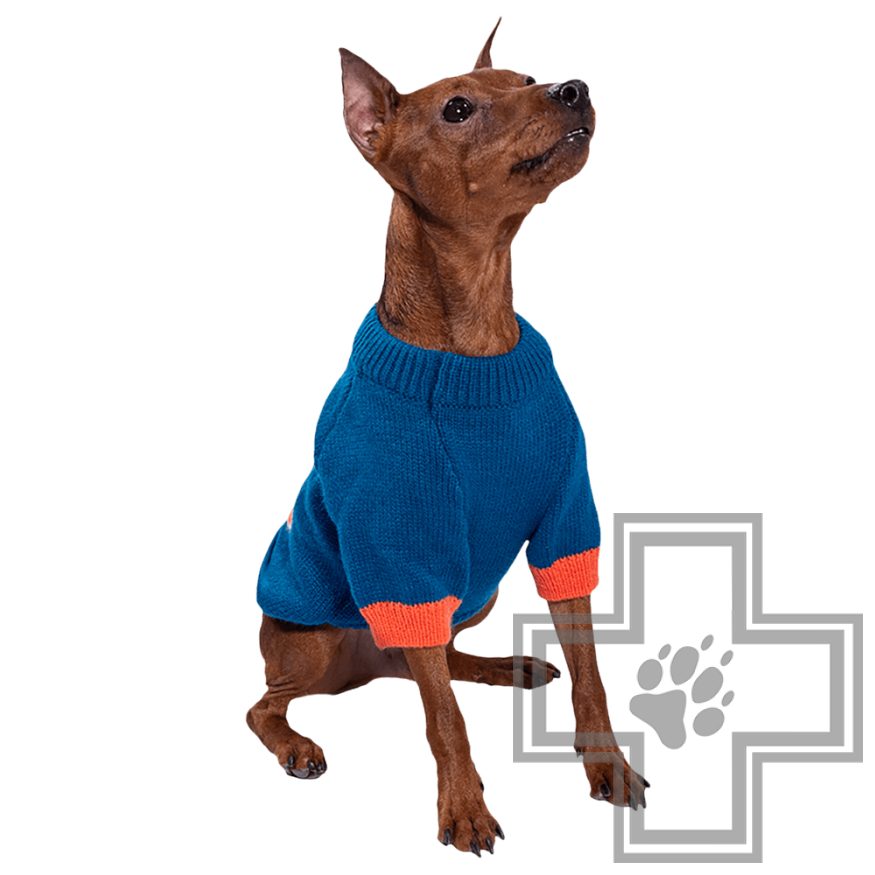 TRIOL Marvel Свитер Капитан Америка TRIOL Marvel Свитер Капитан Америка