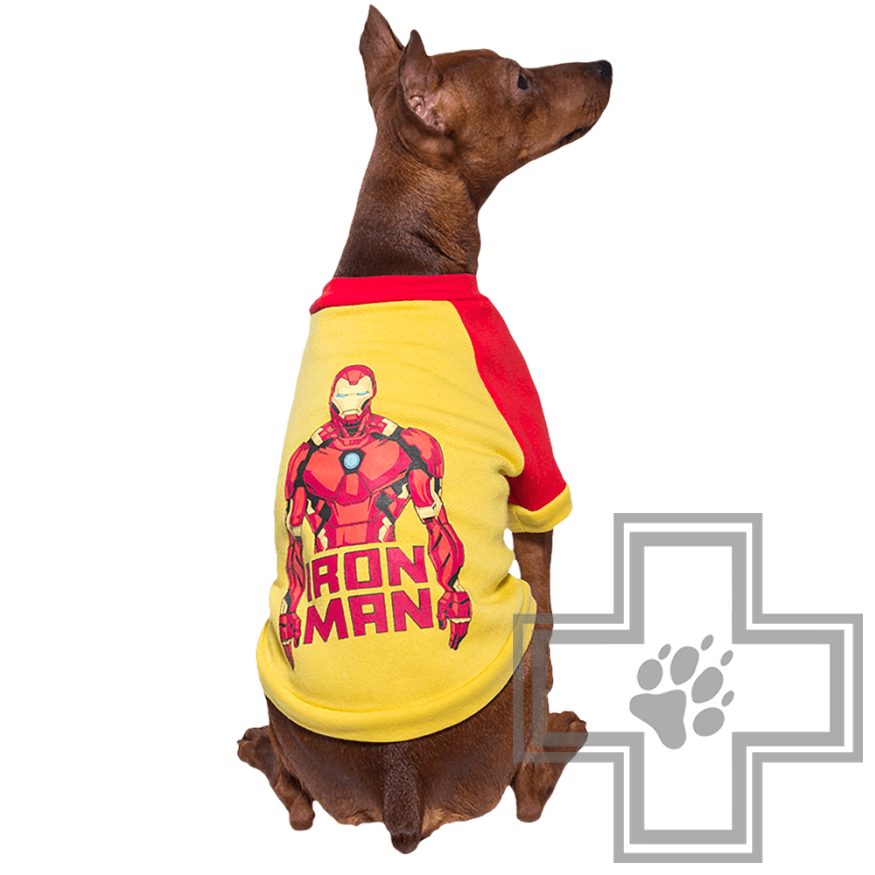 TRIOL Marvel Толстовка Железный человек TRIOL Marvel Толстовка Железный человек