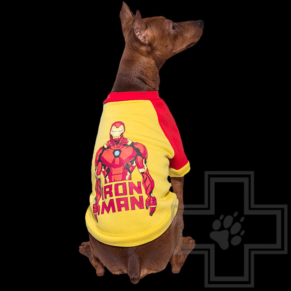 TRIOL Marvel Толстовка Железный человек