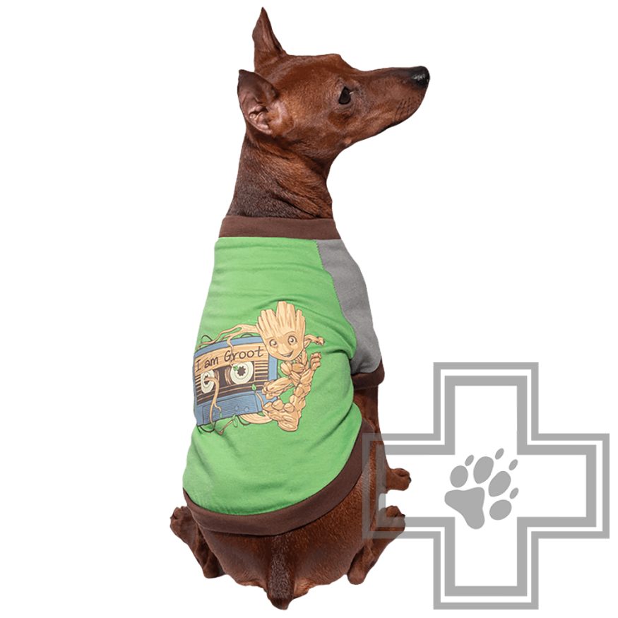 TRIOL Marvel Футболка Грут TRIOL Marvel Футболка Грут