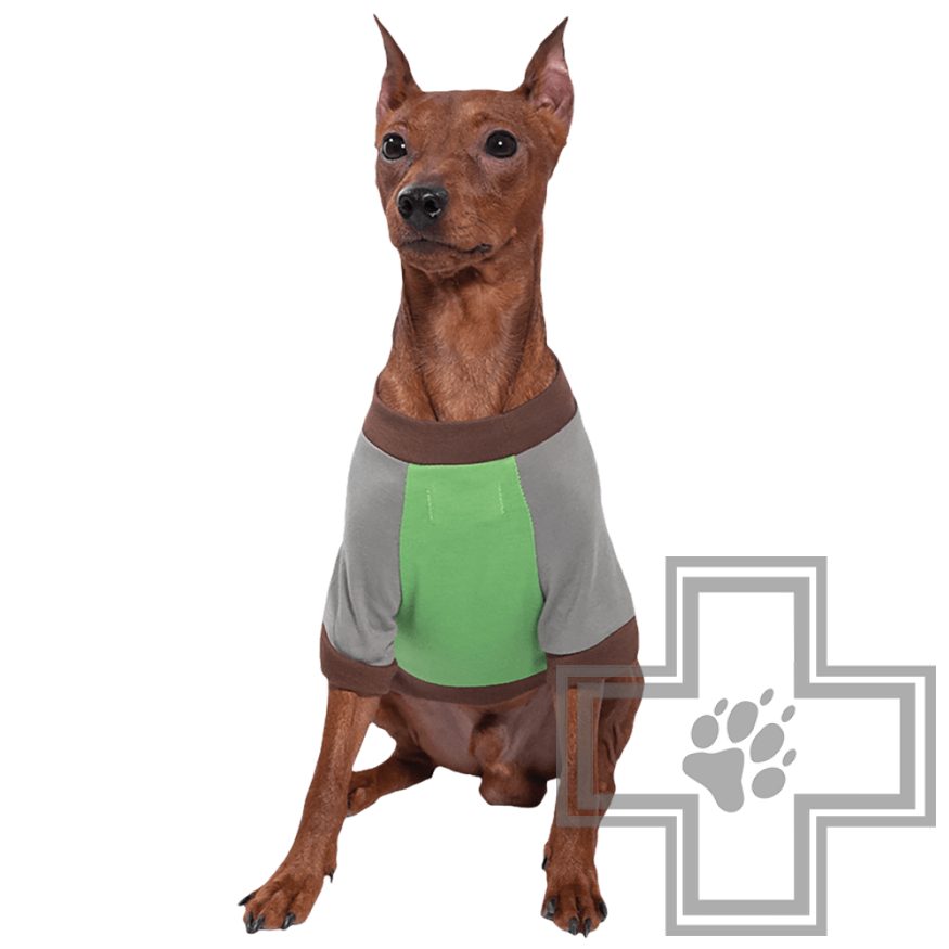 TRIOL Marvel Футболка Грут TRIOL Marvel Футболка Грут