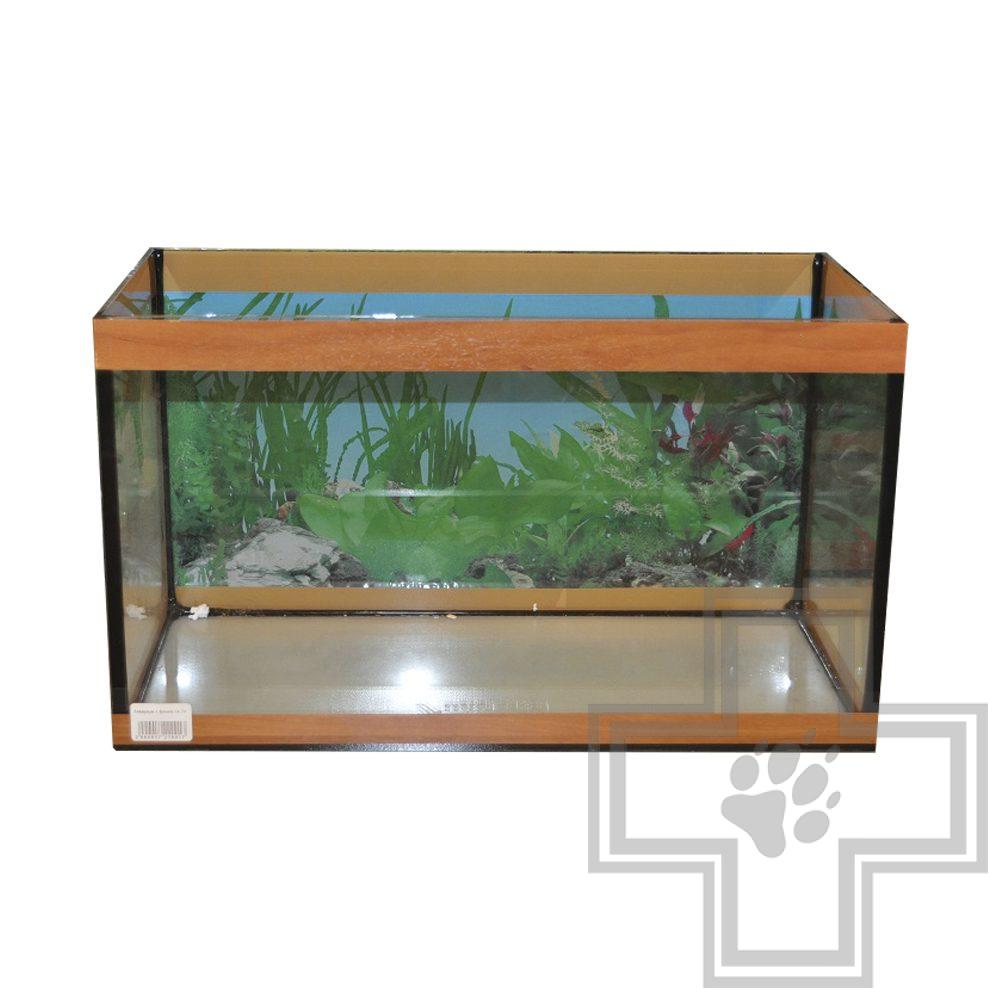 Аквариум с фоном, 11 л