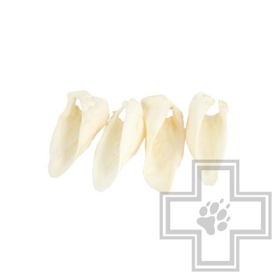 TiTBiT Ухо баранье Б2-L