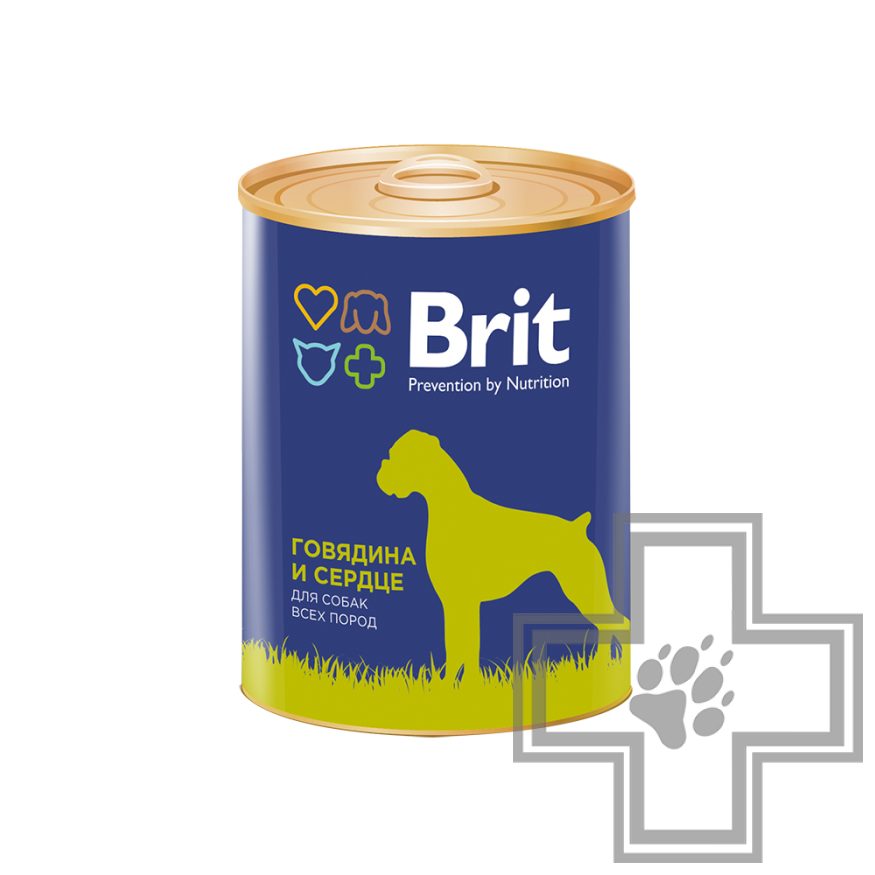 Brit Консервы для взрослых собак, паштет с говядиной и сердцем