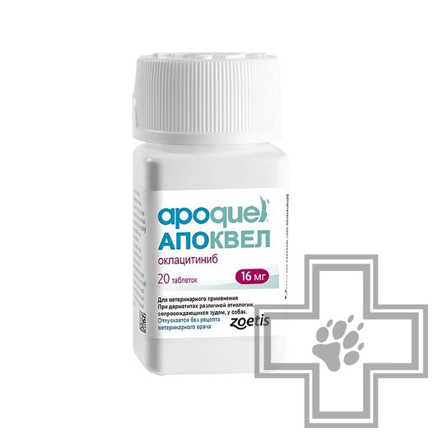 Апоквел Таблетки при дерматитах у собак Апоквел Таблетки при дерматитах у собак