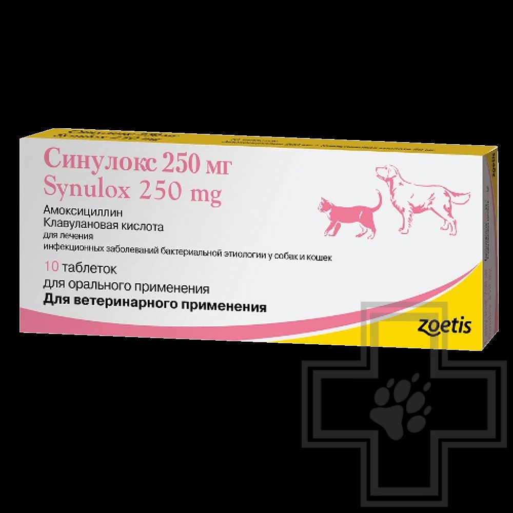 Купить синулокс 250 мг для собак. Синулокс 500 мг для собак. Синулокс таблетки 500 мг таблетка. Синулокс 250. Синулокс 50.