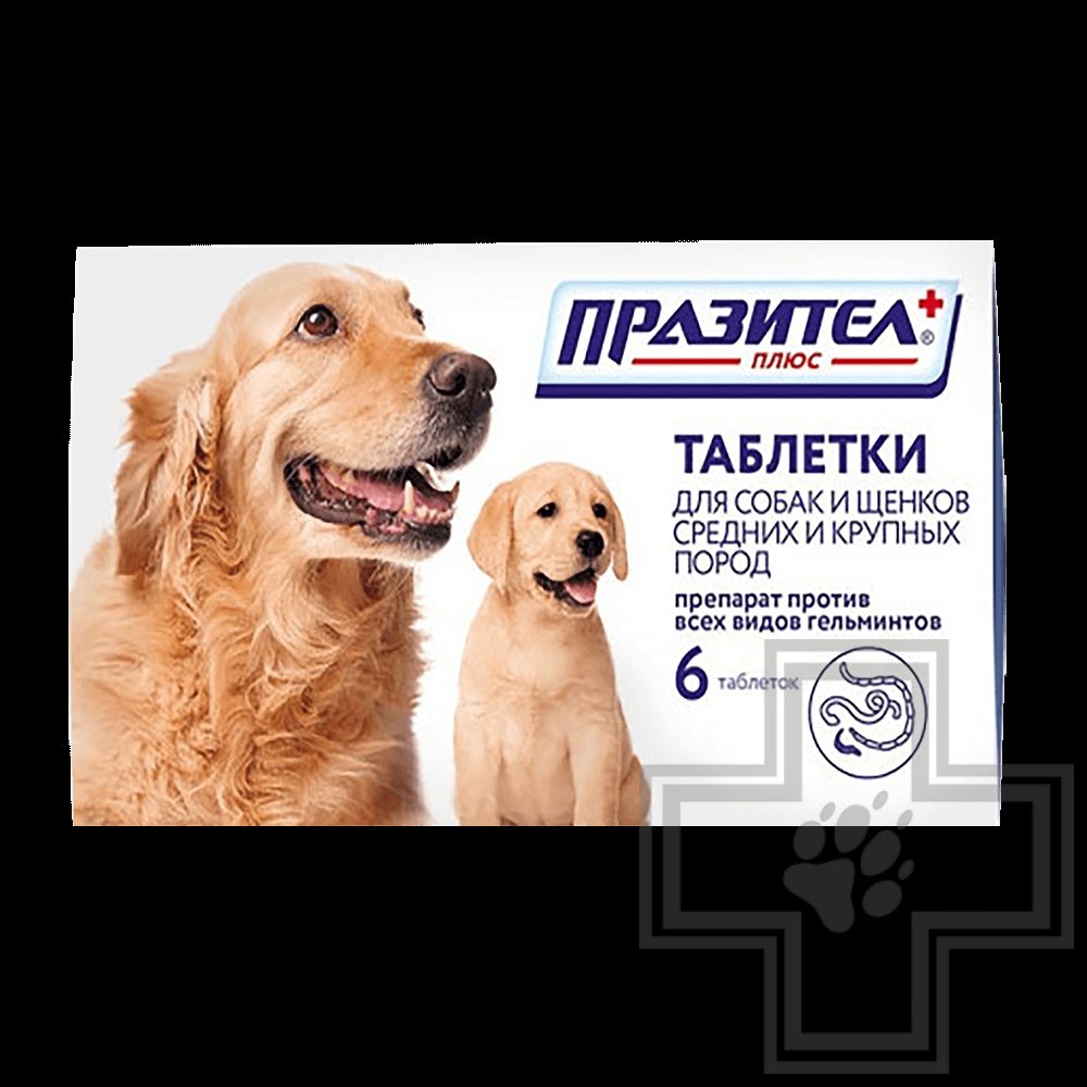Празител плюс Таблетки от гельминтов для собак и щенков крупнных пород, 6 таблеток