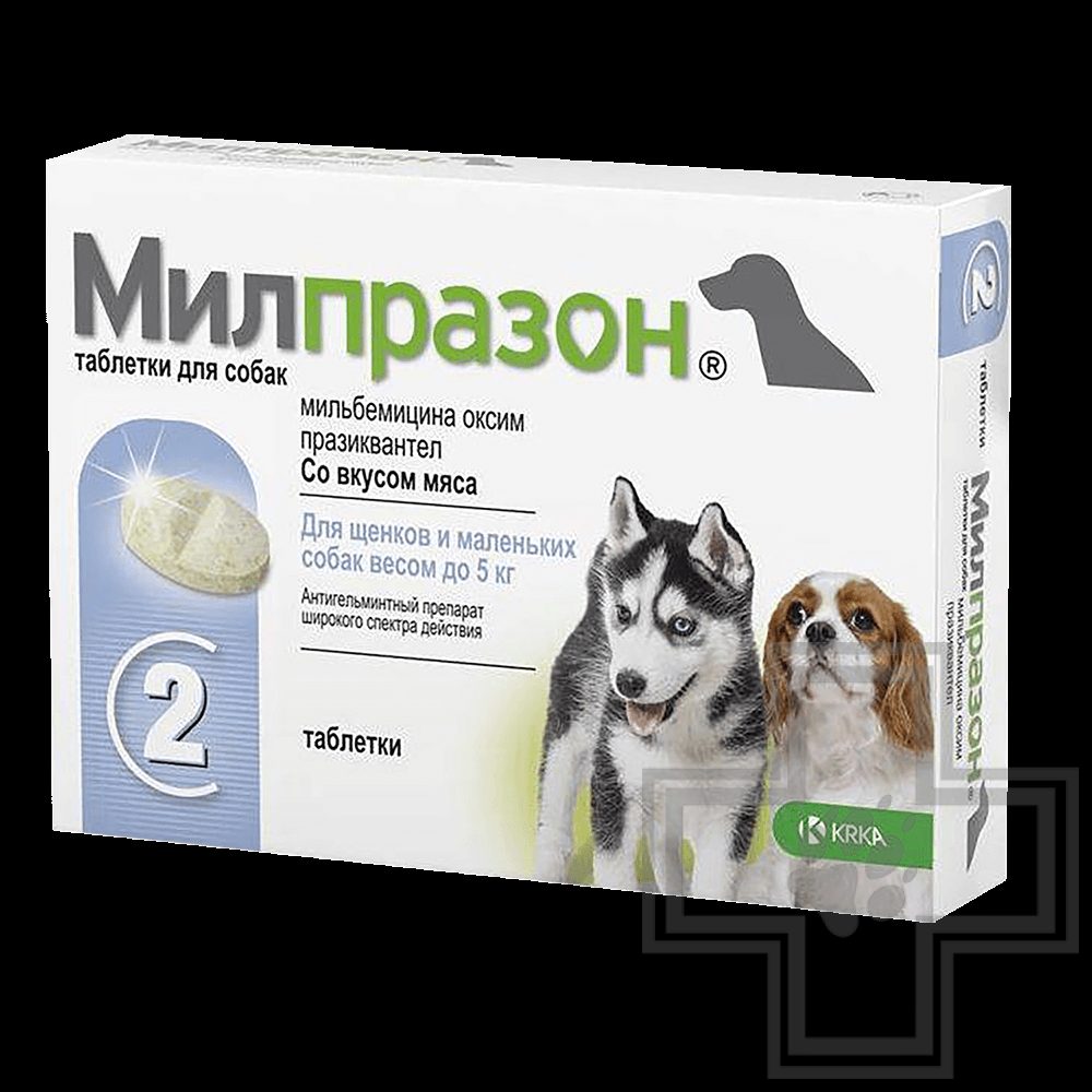 Купить Милпразон таблетки от глистов для собак весом до 5 кг (цена за 1  таблетку) - доставка, цена и наличие в интернет-магазине и аптеках Доктор  Вет
