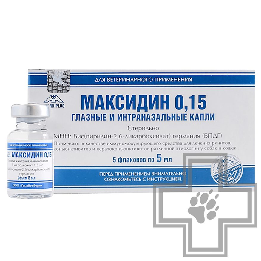 Купить Максидин Капли Для Лечения Ринитов, Конъюнктивитов (Цена За.