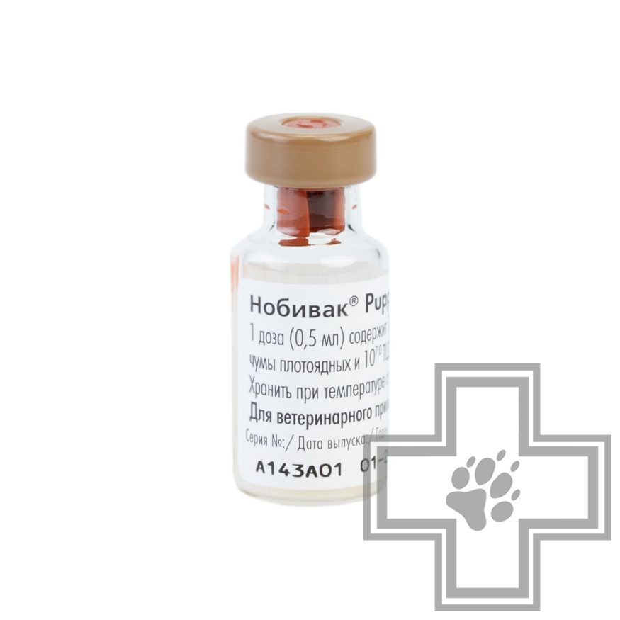 Нобивак PUPPY Вакцина против чумы плотоядных и парвовирусного энтерита Нобивак PUPPY Вакцина против чумы плотоядных и парвовирусного энтерита