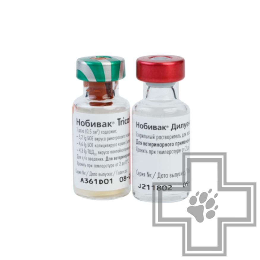Нобивак Tricat Trio + растворитель Вакцина для кошек (цена за 1 дозу) Нобивак Tricat Trio + растворитель Вакцина для кошек (цена за 1 дозу)