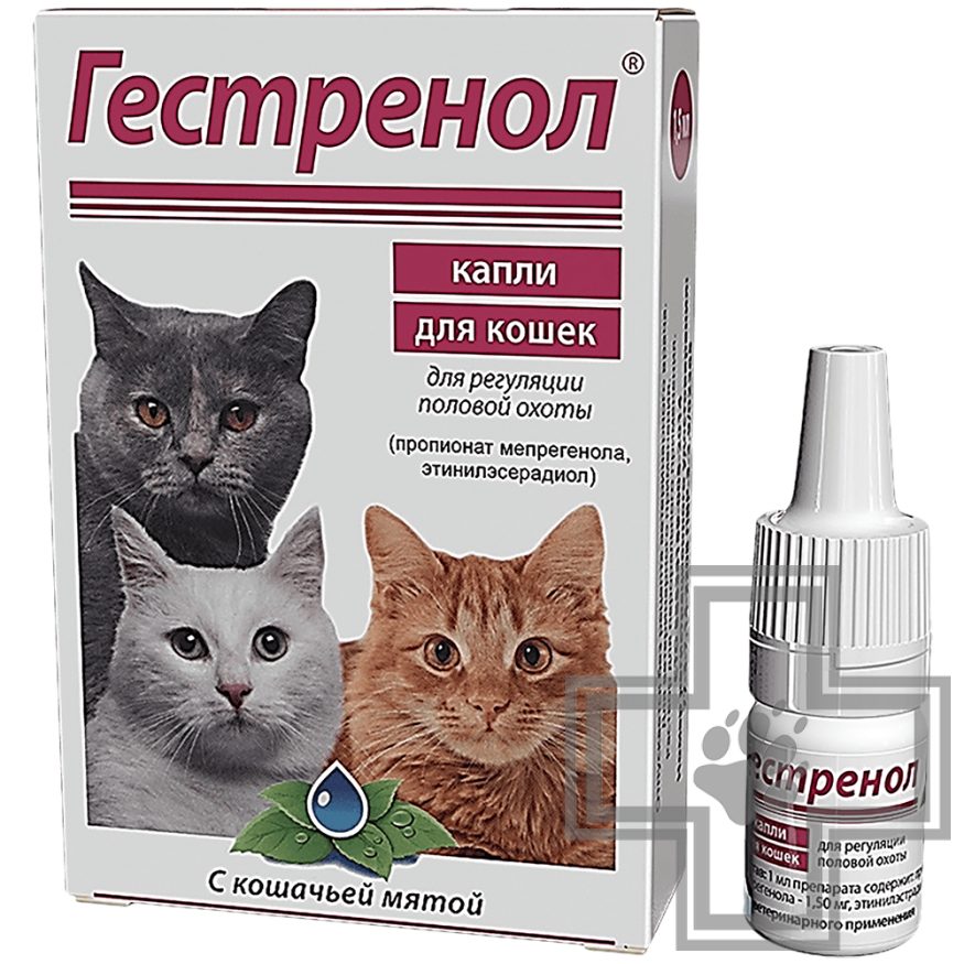 Капли для кошек фото Капли для кошек фото