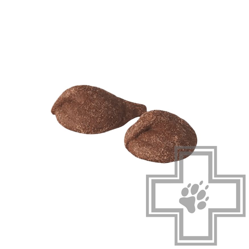 SANAL Choco Drops Шоколадные дропсы для собак